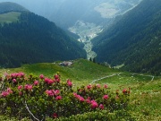 76 Vista sulla Casera Cavizzola (1800 m.) e Madonna delle nevi 